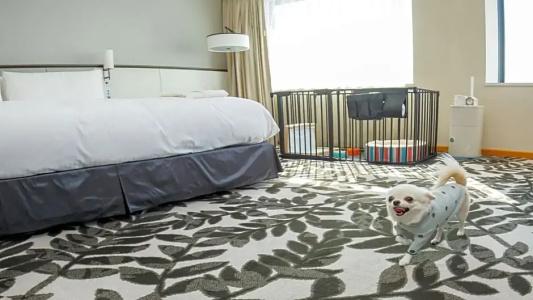 ANA Crowne Plaza Grand Court Nagoya by IHG - 142