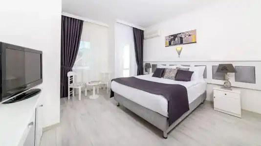 Aryes Deluxe - 1