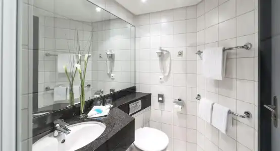 Essential by Dorint Basel City - 9