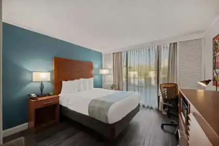 Best Western Orlando Gateway - 41