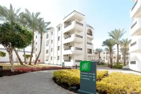 Palma - 0