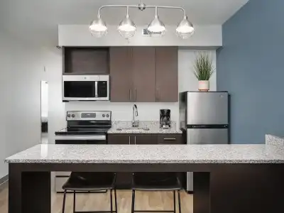 stayAPT Suites Greenville-Haywood Mall - 11
