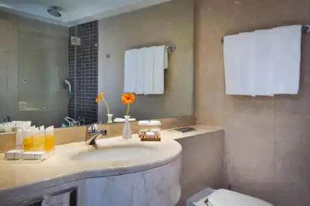 King Solomon by Isrotel Collection - 6