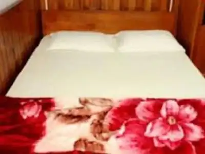 Thanh Anh 2 - Gan Cho Dem Da Lat - 0