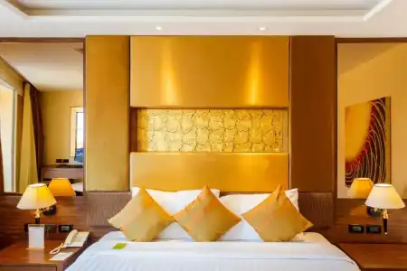 Nova Gold - 219