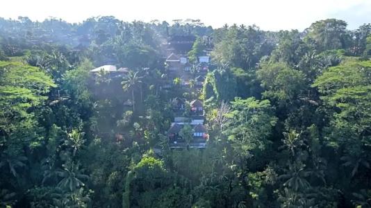 Black Penny Villas Ubud - 29