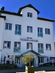 Sylter Blaumuschel - 0