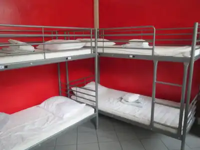 Koala Hostel - 23