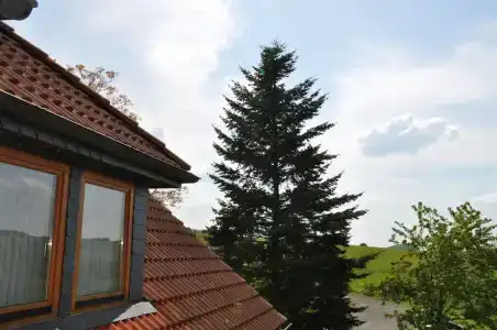 Rhön Sonnenhof - Restaurant & Café - 55