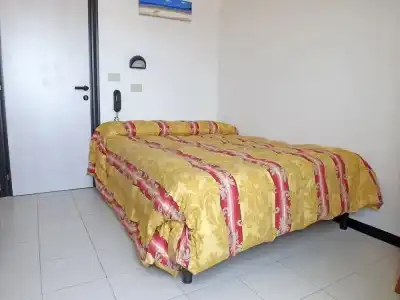 Paloma - 2