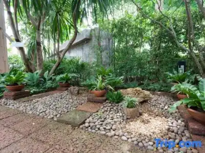 Raya Resort Beach front - The Most Green Resort in Cha-am - 103