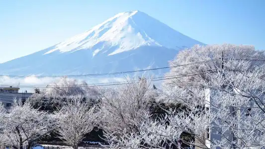 Maruyaso - 14
