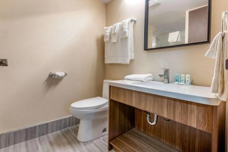 Quality Inn & Suites - 25