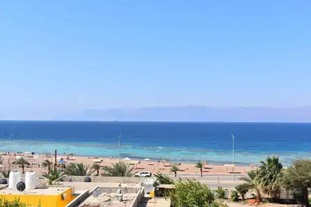 Bedouin Garden Village, Dive - 14