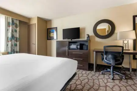 Best Western Plus Oceanside Palms - 5