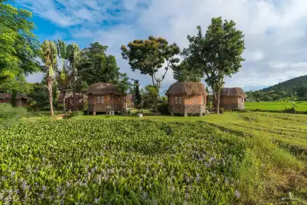 The Countryside Resort Pai - 39