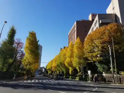 Tokyo Garden Palace - 9