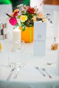 Platan - 45
