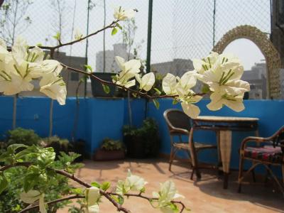 Sydna All Hussain - 10