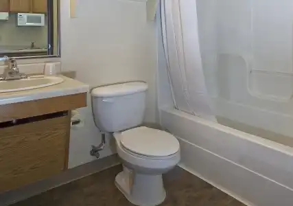 WoodSpring Suites Macon West I-475 - 18