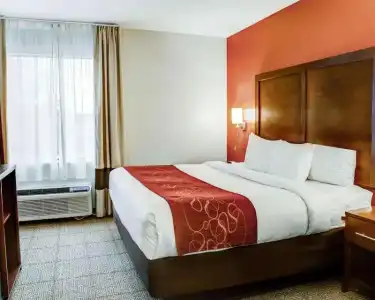 Comfort Suites Tyler South - 35