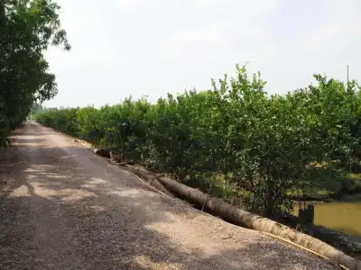 Baan Sai Nam - 26
