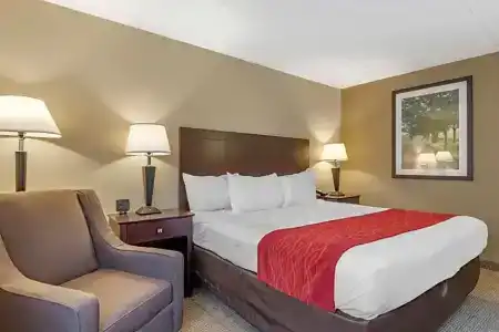 Comfort Inn Lansing West - 41