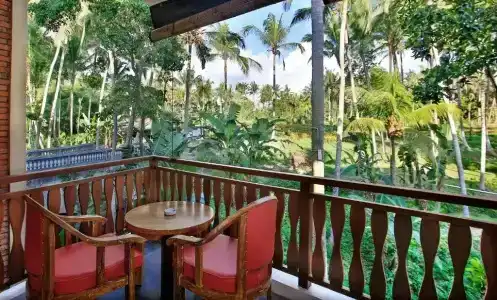 Green Field Resort - 29