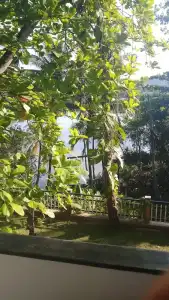 Villa Birdlake - 73