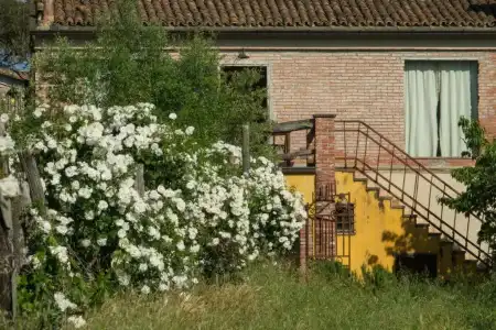 Resort La Ghiaia - Guest House - 22