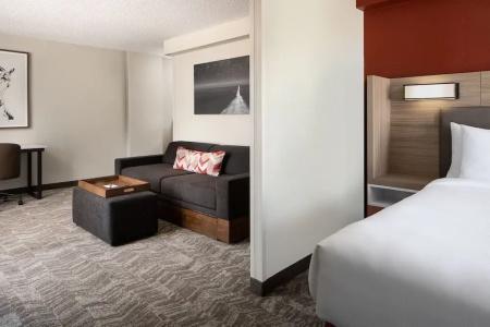 SpringHill Suites Dallas Downtown / West End - 62