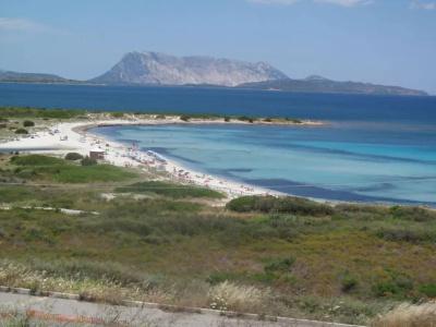 Gallura (TEO261) - 9