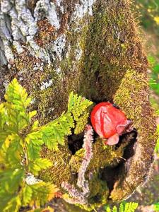 Hong Mon Villa - 117