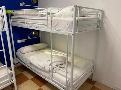 Oh My Hostel - 27