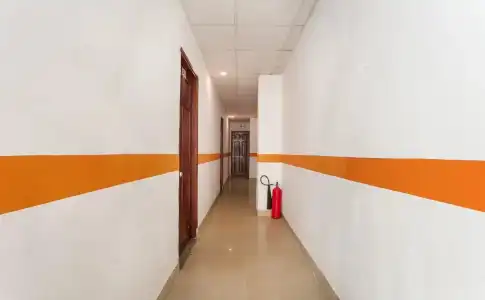 Van Giao - 11