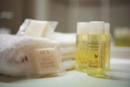 Ace Hôtel Chartres - 10