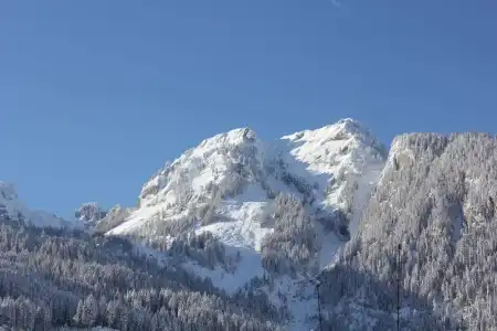 & Chalet Dorfer - 41