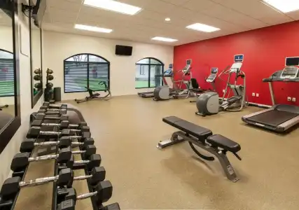 Hilton Garden Inn Las Colinas - 21