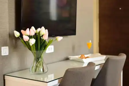 Belgrade Inn Garni - 53