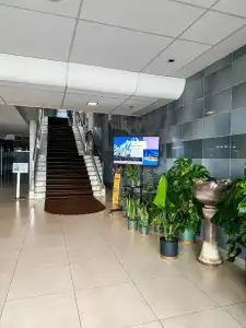 SOREA Regia - 1