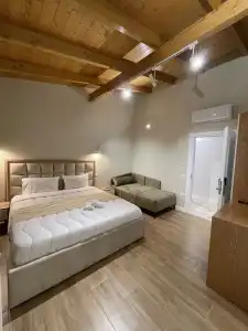 Arial Penthouse Suites - 211