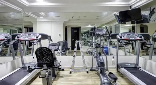 Icon Delux Apartments Al Barsha - 17