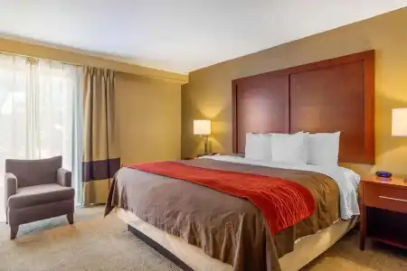 Holiday Inn Express Denver Central North by IHG - 57