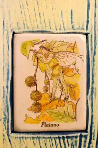 Il Tiglio - 20