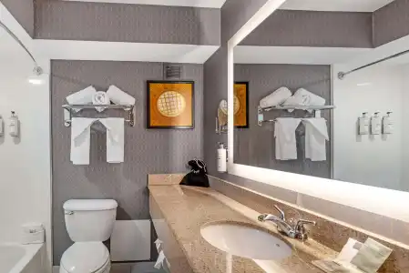 Best Western Premier Richmond City Gateway - 63