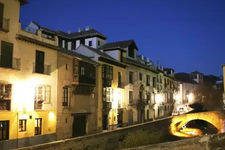 Rosa D´Oro - 41