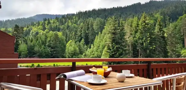 Yastrebets Wellness & Spa - 25
