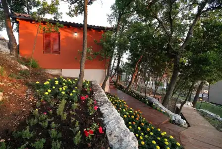 Guest House Harmonia - 14