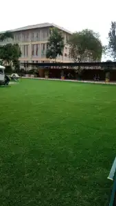 Lush Garden - 26