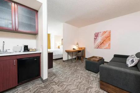 SpringHill Suites by Marriott Grand Rapids North - 38